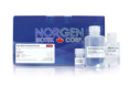 48300 Total RNA Purification Plus Kit ( 50 rxn )